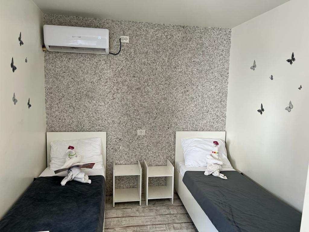 Klara House Ξενοδοχείο Κονστάντζα Εξωτερικό φωτογραφία